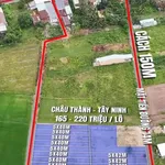 Bán đất 50m2 Châu Thành Tây Ninh chỉ 165 triệu - Ảnh thu nhỏ 2