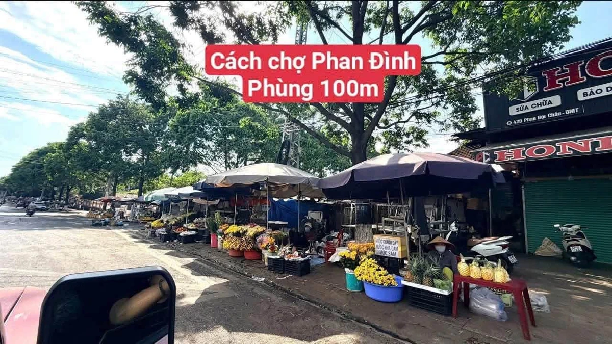 Bán 2 lô đất liền kề Phan Bội Châu 69-74m² Quận 5 - Ảnh thu nhỏ 5