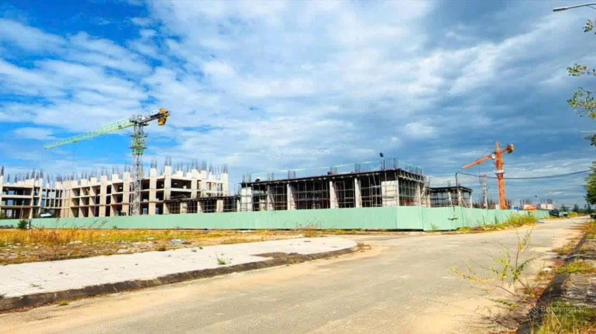 Giỏ hàng Vịnh An Hòa đang có giá khách đừng hỏi còn không? Rồi mới tiếc - Ảnh 1