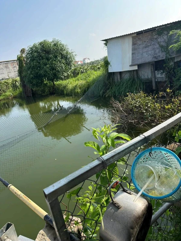Bán nhà vườn 1000m2 giá 900 triệu tại Hàm Liêm, Phan Thiết