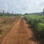Bán đất cao su 45ha Phú Riềng, Bình Phước 7 tỷ - Ảnh thu nhỏ 1