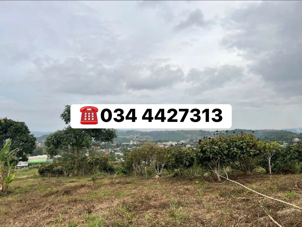 Bán đất Ninh Gia Lâm Đồng 3.162m² view đồi, 2 tỷ 868 triệu - Ảnh 1