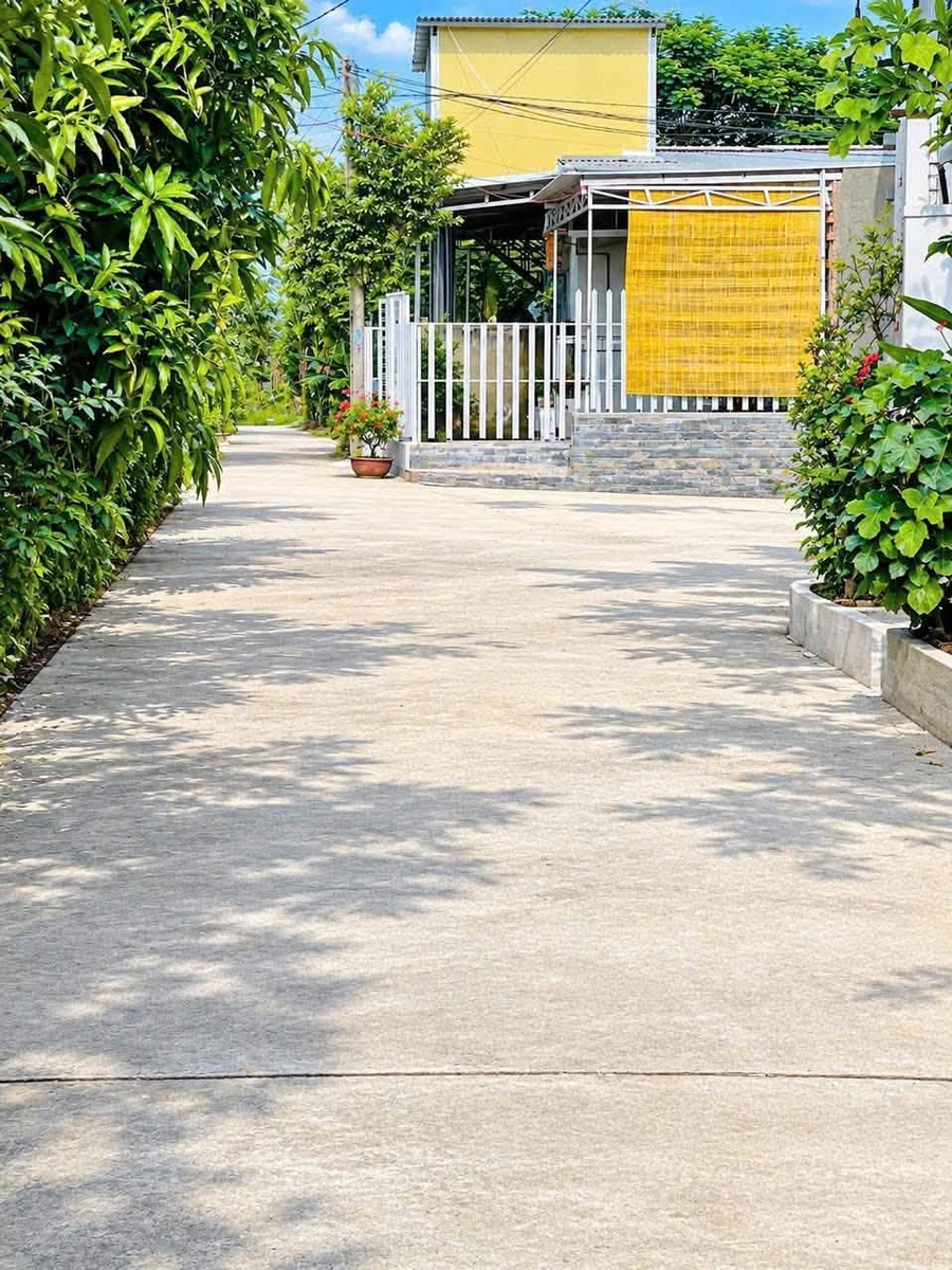 Bán đất dân cắt Diên Phú 67m² 580 triệu - Ảnh thu nhỏ 3
