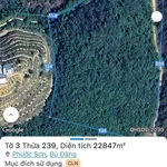 Bán 2,3 héc đất đồi 2 mặt tiền Bù Đăng Đồng Nai - Ảnh thu nhỏ 5