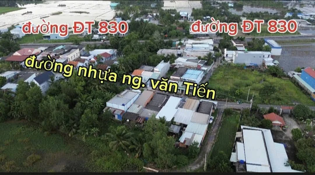 Bán lô đất thổ cư 228m² mặt tiền Nguyễn Văn Tiến, Cần Dước - Ảnh thu nhỏ 3