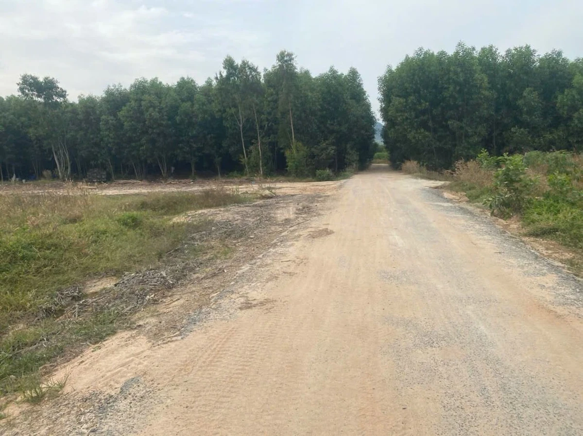 Bán đất sào 2000m² mặt đường Lê Đức Thọ Lagi, 750 triệu - Ảnh thu nhỏ 3
