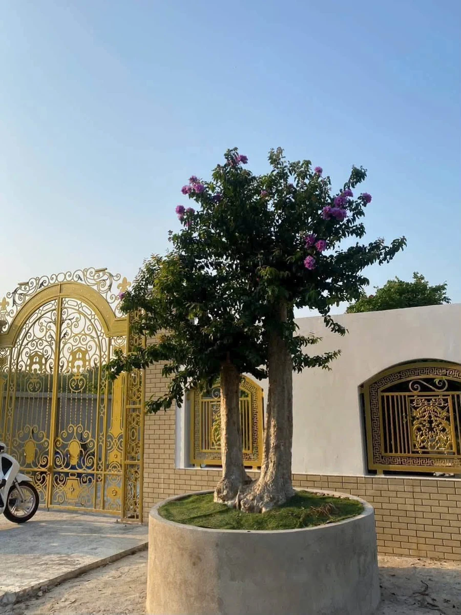 Bán nhà vườn 500m2 Tân Hiệp Tân Uyên - Ảnh thu nhỏ 3