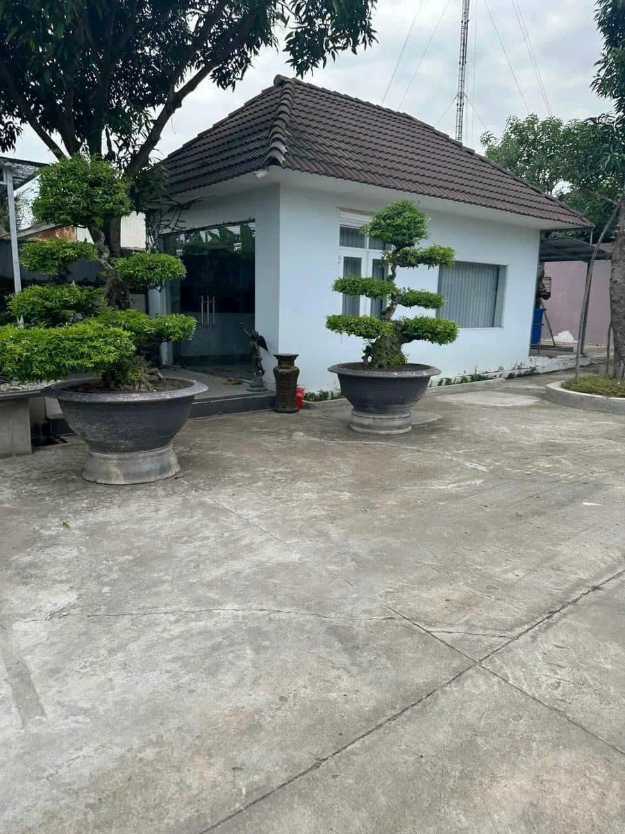 Bán nhà xưởng 1.879m² Thạnh Đức Bến Lức 22 tỷ - Ảnh thu nhỏ 3