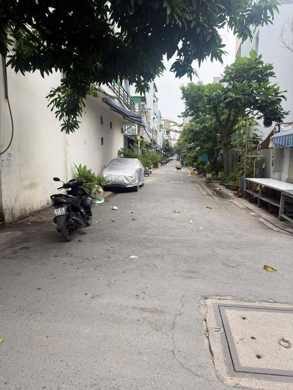 Bán đất Bình Tân 60m², Mã Lò 4 tỷ 300 triệu - Ảnh 1