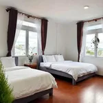 Bán gấp khách sạn kinh doanh Đà Lạt 157m² mặt tiền 9m, 24 tỷ - Ảnh thu nhỏ 4