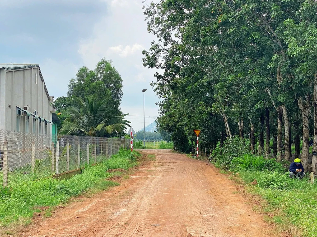 Bán đất thổ cư 300m2 đường đỏ giá 495 triệu tại Dương Minh Châu, Tây Ninh - Ảnh thu nhỏ 2