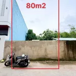 Bán gấp lô đất 80m2 thổ cư gần Giáo xứ Thuận Hòa, Phường Tân Triều, Đồng Nai - Ảnh thu nhỏ 1