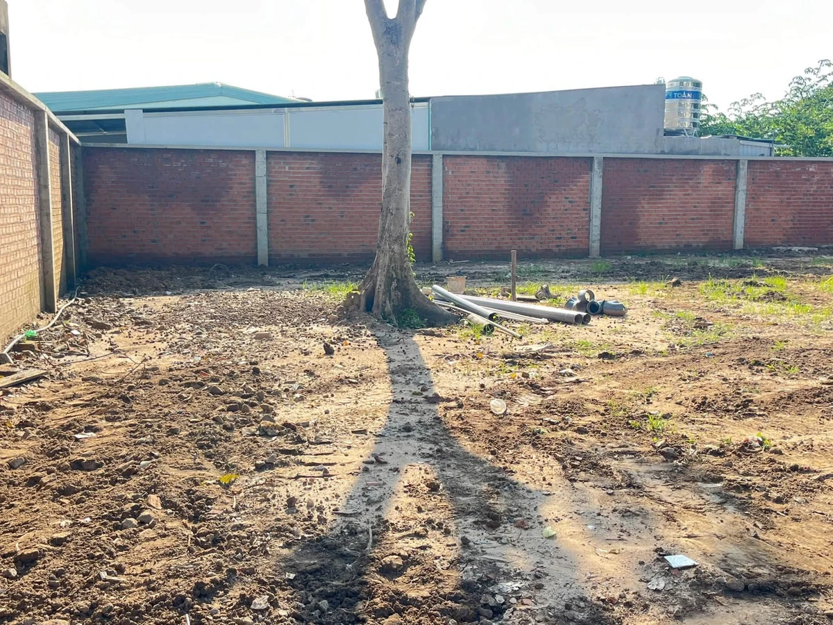 Bán đất thổ cư 1.105,7m² mặt tiền Nguyễn Hữu Cảnh, Thủ Dầu Một, Bình Dương - Ảnh thu nhỏ 5