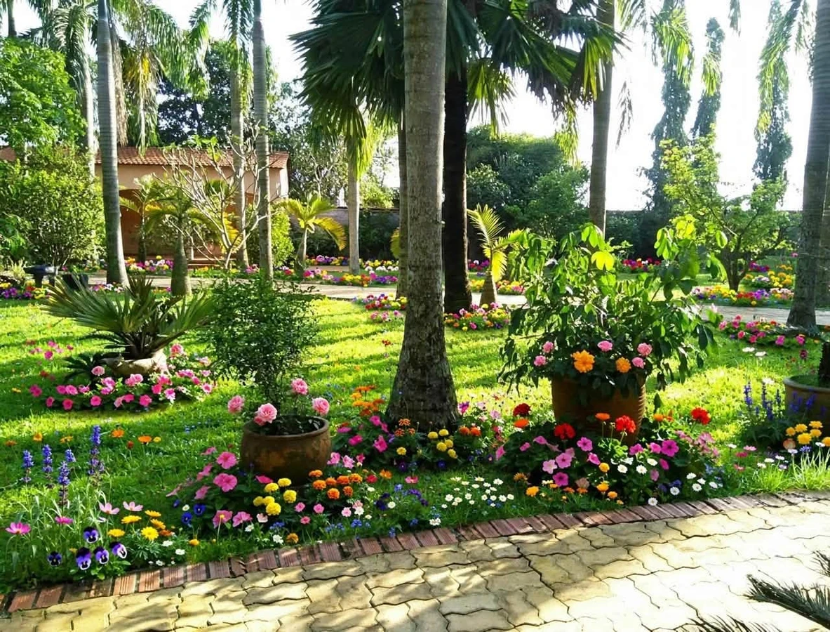 Bán 2 biệt thự sân vườn 4.000m2 Nhuận Đức, Củ Chi giá 17,1 tỷ - Ảnh thu nhỏ 5