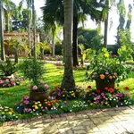Bán 2 biệt thự sân vườn 4.000m2 Nhuận Đức, Củ Chi giá 17,1 tỷ - Ảnh thu nhỏ 5
