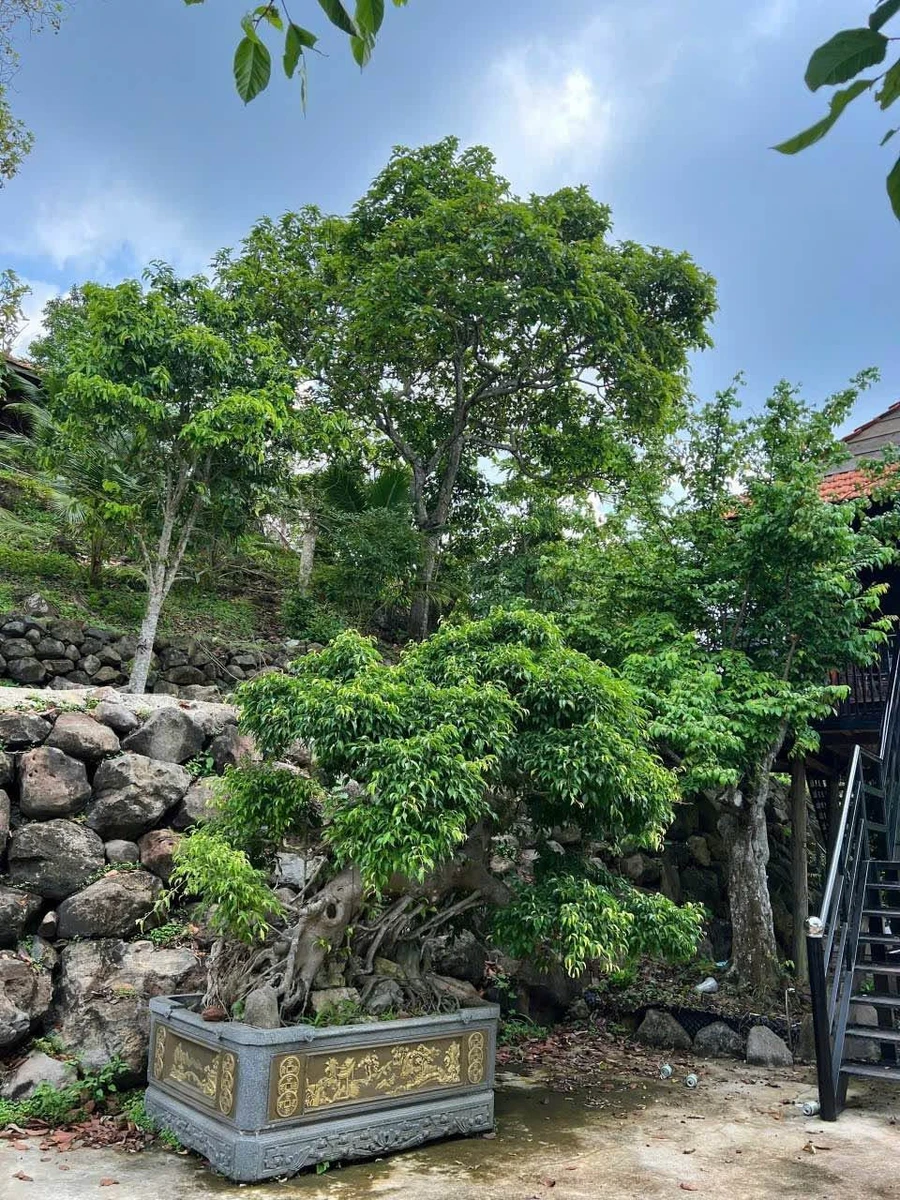 Bán đất view nghỉ dưỡng 2439m² Xã Cẩm Mỹ Đồng Nai - Ảnh thu nhỏ 4