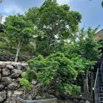 Bán đất view nghỉ dưỡng 2439m² Xã Cẩm Mỹ Đồng Nai - Ảnh thu nhỏ 4