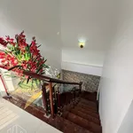 Bán nhà mặt tiền Trần Nhật Duật, 2PN, 84.6m², Cà Mau - Ảnh thu nhỏ 3