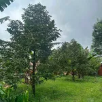 Bán đất Phú Riêng Bình Phước 400m2 giá 2 tỷ - Ảnh thu nhỏ 2