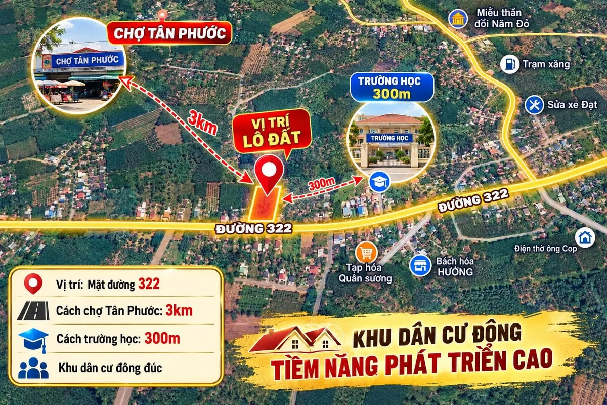 Bán 4 lô đất mặt tiền Đường 322, 100m²/lô, Bình Chánh - Ảnh thu nhỏ 2
