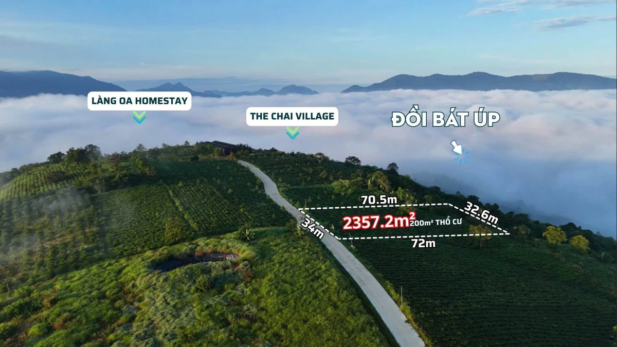 Bán đất Bảo Lâm 2.357m² view 360°, giá 4,3 tỷ - Ảnh thu nhỏ 4