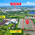 Bán 1 hecta đất Phong Điền Huế, 10.000m², giá hơn 1 tỷ - Ảnh thu nhỏ 2