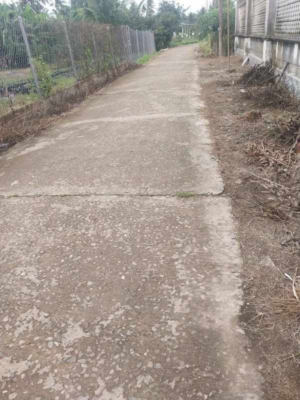 Bán đất vườn 10.000m² xã Hưng Khánh Trung A Vĩnh Long