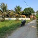 Bán đất 1240m² mặt tiền đường đá xanh, An Thạnh, Tây Ninh, 1 tỷ 800 - Ảnh thu nhỏ 1