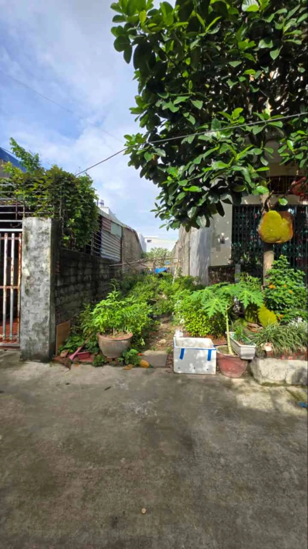 Bán đất 84m² gần Hoàng Quốc Việt, Hải Phòng, nhỉnh 1,3 tỷ - Ảnh 1