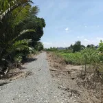 Bán đất vườn 3000m² Thạnh Hoà Bến Lức Long An 2 tỷ 550 - Ảnh thu nhỏ 3