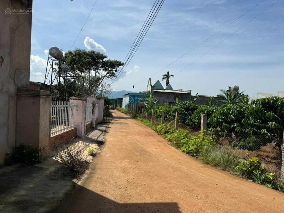 Lô đất sau chợ Thăng Long gần hồ Bãi Công 335m2 chỉ 1.2 tỷ - Ảnh thu nhỏ 2