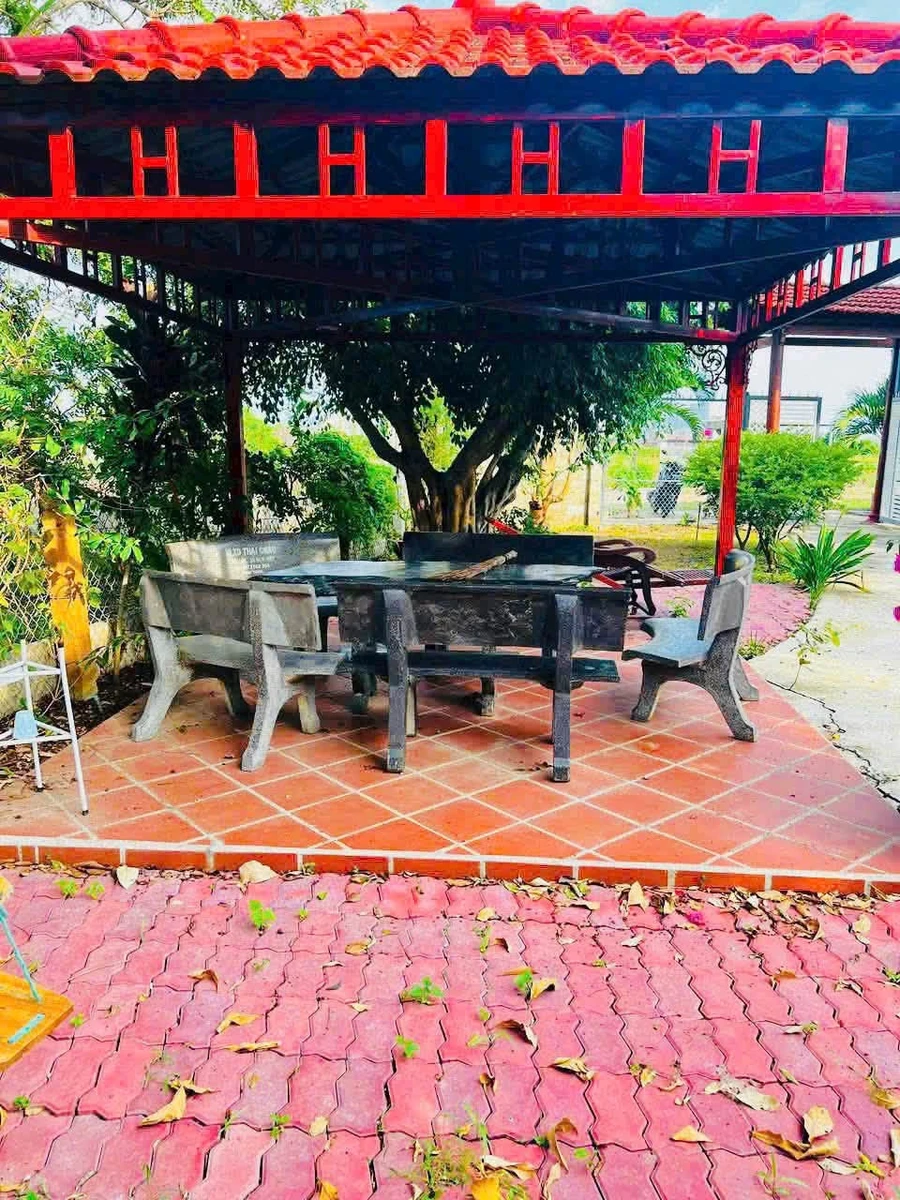 Bán đất vườn 1.333m² Thôn 5 Hàm Liêm 1 tỷ 500 - Ảnh thu nhỏ 5