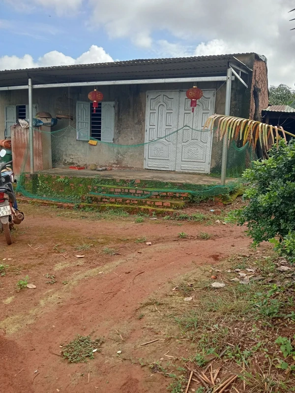 Bán rẫy 1,6 ha Tuy Đức, Đắk Nông