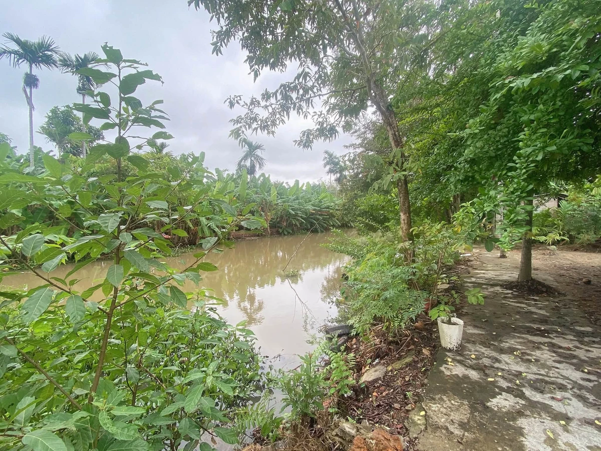 Bán đất mặt tiền Thanh Hà Huế 304m² view sông Hương - Ảnh thu nhỏ 2