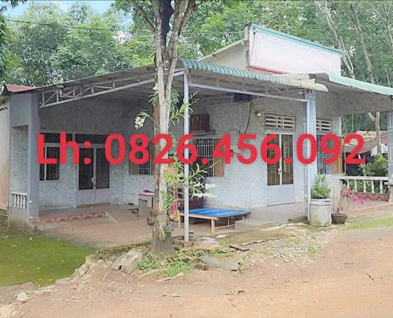 Bán nhà vườn Làng 3 Đồng Xoài 2,5 sào, 3PN - Ảnh 1
