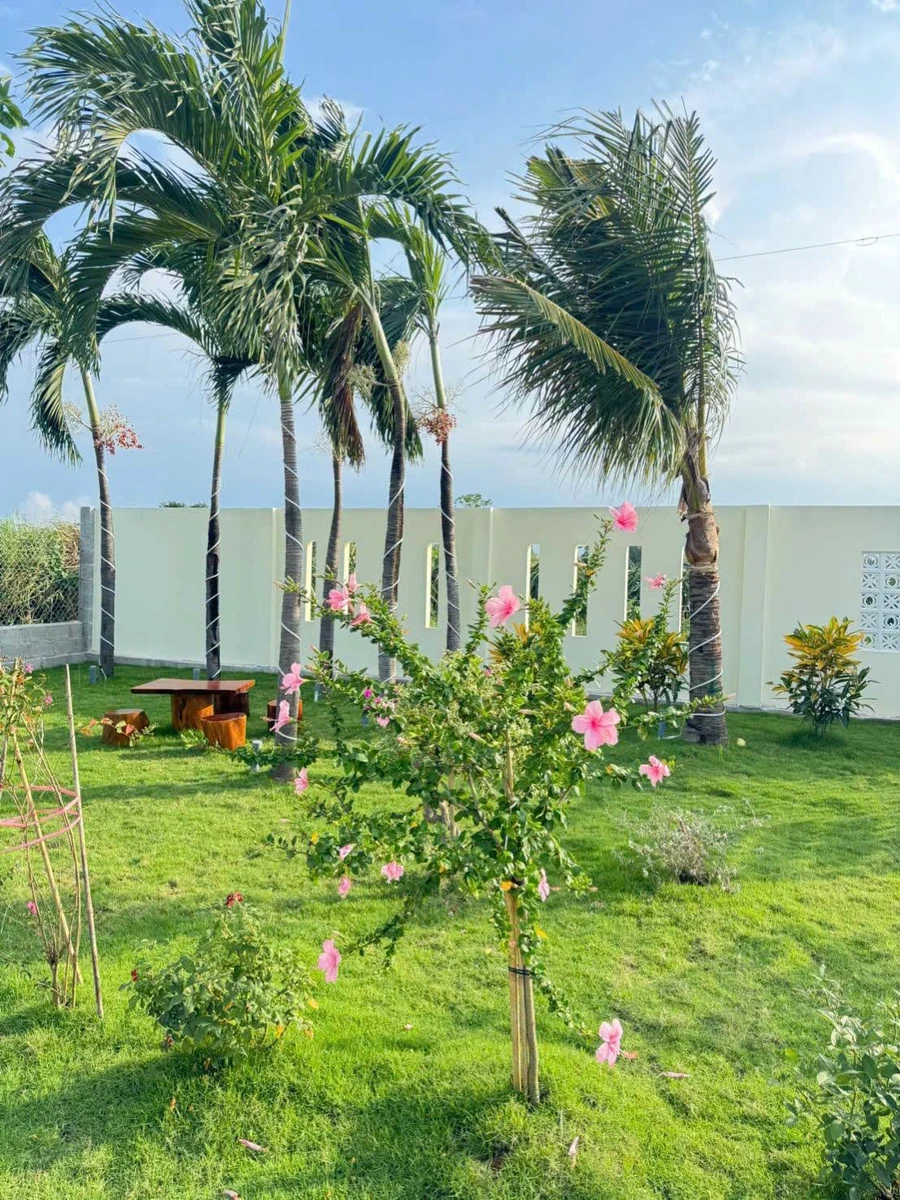 Nhà vườn nghỉ dưỡng Phan Thiết 1.606m² giá 1 tỷ 850 triệu - Ảnh thu nhỏ 3