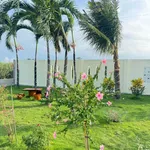 Nhà vườn nghỉ dưỡng Phan Thiết 1.606m² giá 1 tỷ 850 triệu - Ảnh thu nhỏ 3