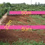 Bán đất nông nghiệp 540m2 giá 480 triệu tại Buôn Komleo, Phường Tân Lập, Đắk Lắk - Ảnh thu nhỏ 4