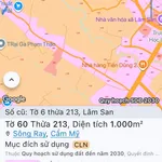 Bán đất 1000 m² Cẩm Mỹ Đồng Nai giá 6 tỷ sổ hồng - Ảnh thu nhỏ 4
