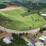 Bán đất mặt tiền Nhữa Nhà Bè 8100m² - Ảnh thu nhỏ 3