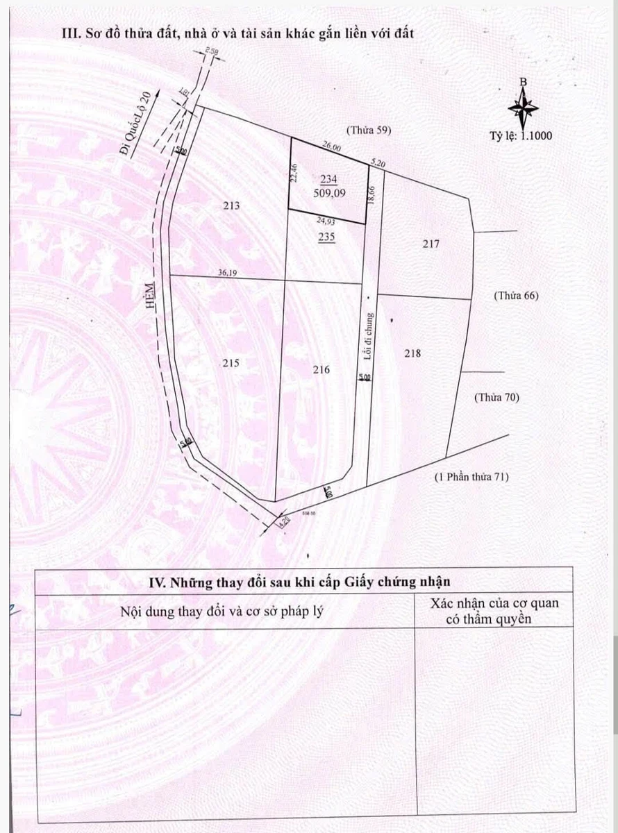 Bán đất 509m2 Xuân Trường Hóc Môn 1,6 tỷ - Ảnh thu nhỏ 5