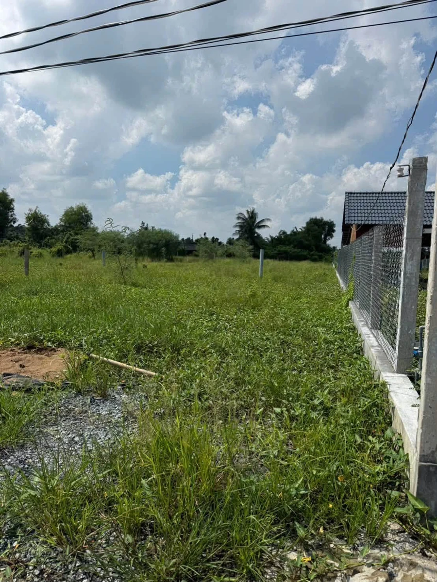 Bán đất 1100m2 có sẵn ao cá, đường ô tô, xã Tầm Vu, Tây Ninh - Ảnh thu nhỏ 4