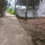 Bán đất thổ cư 101m2 xã An Phú Tây, Bình Chánh, giá 2,8 tỷ - Ảnh thu nhỏ 2