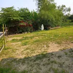 Bán đất 225m2 ở Phú Lương, 799 triệu, mặt tiền 6m, pháp lý đầy đủ - Ảnh thu nhỏ 3