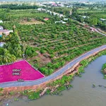 Bán đất vườn 690m² 2 mặt tiền view sông Vàm Cỏ Đông, Thạnh Hòa, Bến Lức - Ảnh thu nhỏ 3