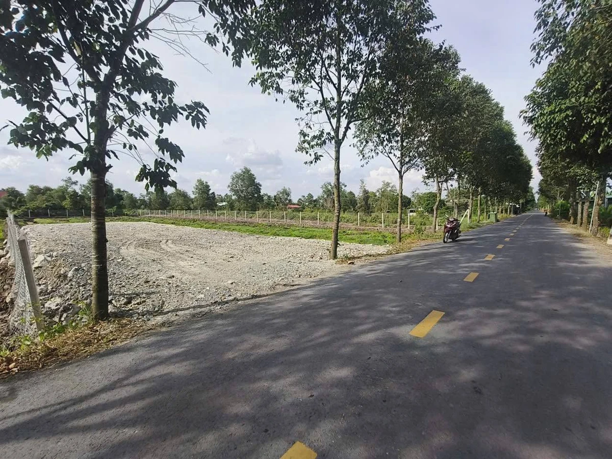 Bán đất mặt tiền 2900m² Bến Lức Long An - Ảnh thu nhỏ 3