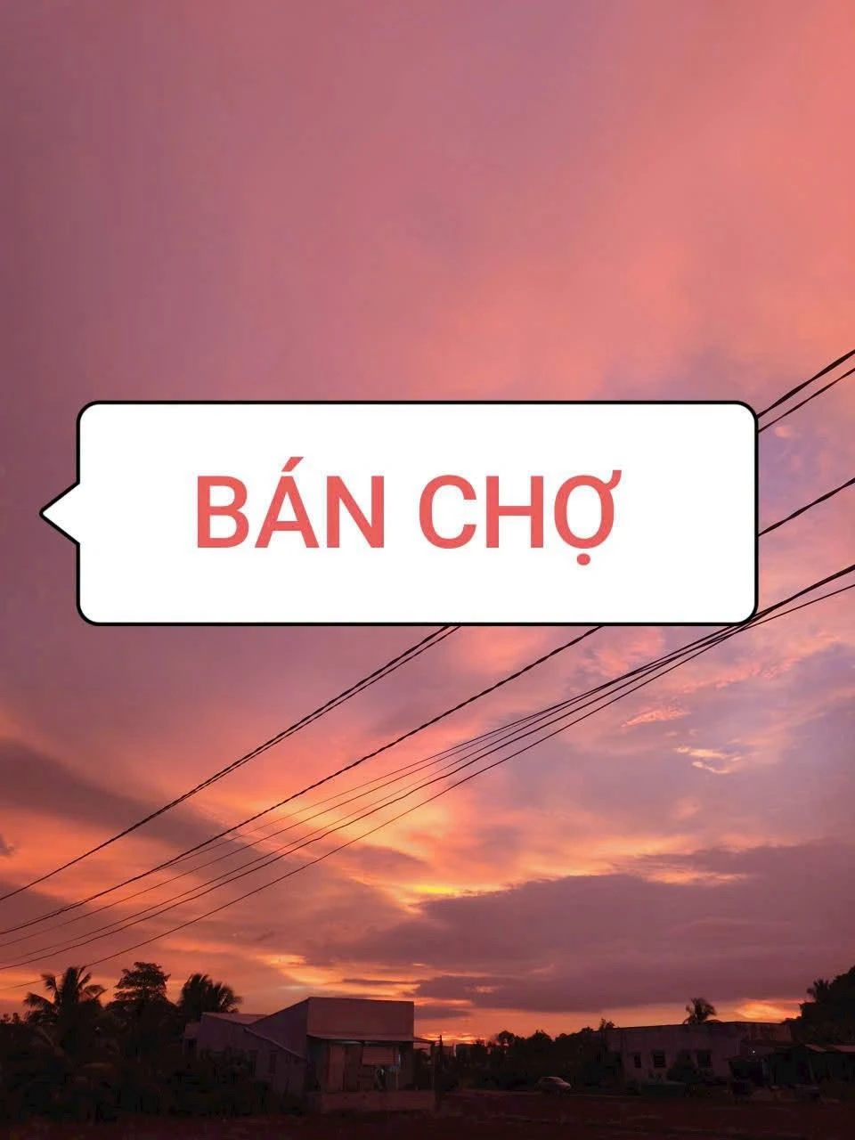 Bán chợ nổi đang hoạt động Long An 8000m² - Ảnh 1