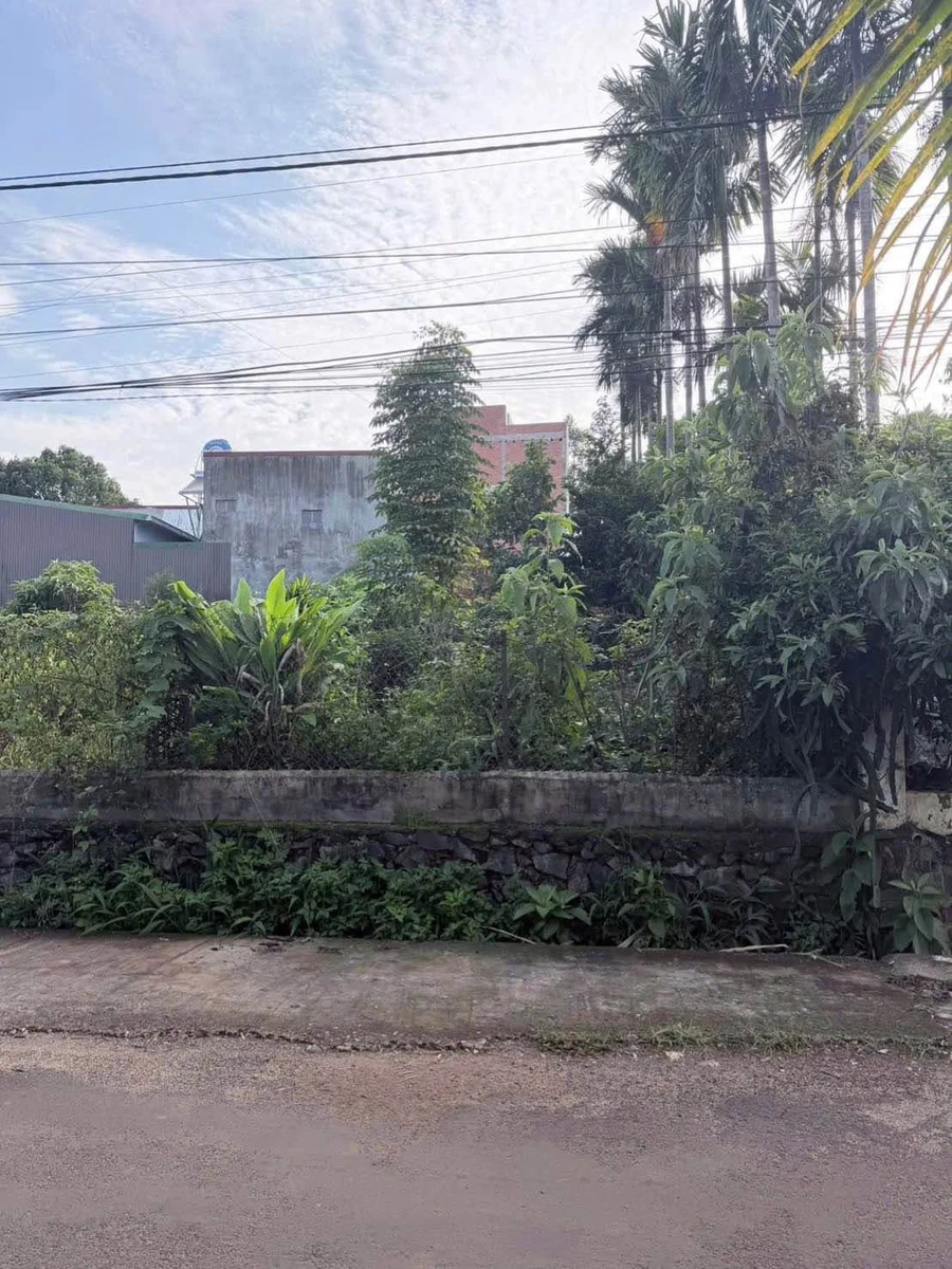 Bán 2 lô đất liền kề 100m² Đại lộ Đông Tây 2.1 tỷ/lô - Ảnh thu nhỏ 3