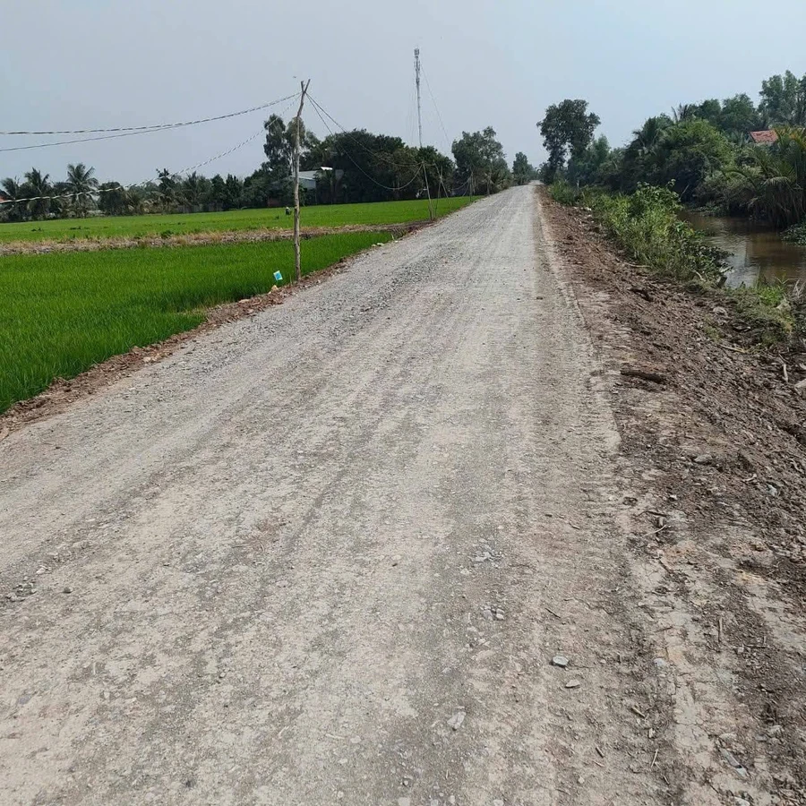 Bán đất lúa 9394m² Tân Thành, Long An - Ảnh thu nhỏ 2