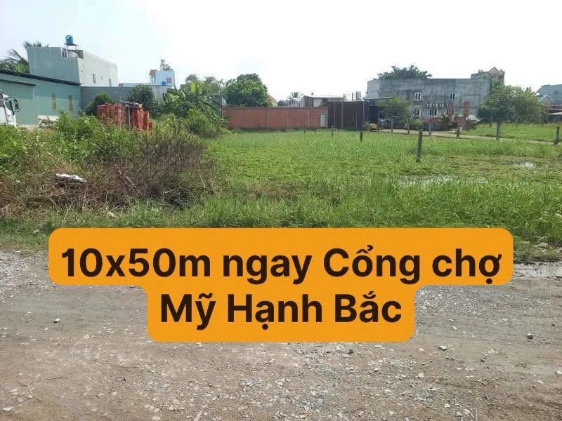 Bán nền đất 255m2 thổ cư đối diện Chợ Đình, Bình Chánh - Ảnh 1
